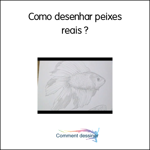 Como desenhar peixes reais